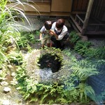 イチリン ハナレ - 