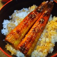 菊屋 - 鰻丼