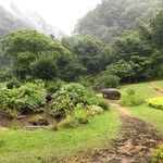 清見庵　おおくら - 雨に濡れた緑。これもまた、いいかな。
