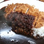 馬場南海 - カツカレーのアップ