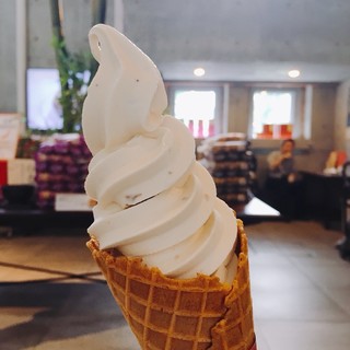 北海道の銘菓といえば 北菓楼ラムレーズンソフトクリーム 380円 By Reiche 北菓楼 札幌本館 キタカロウ 西１８丁目 洋菓子 その他 食べログ