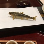 旬彩天 つちや - チアユ