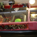 めだかタンタン - 