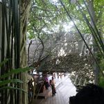 Riverkwai Floating Restaurant - 「Riverkwai Floating Restaurant」は、クウェー川沿いにあるので階段を下って先へと進んでいきます。