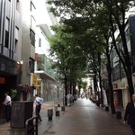 熊本は銀杏並木がいっぱい