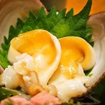 すし処 錦 - イシカゲ貝