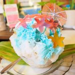 いちょうの木 - ハイビスカス 800円