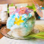 いちょうの木 - ハイビスカス 800円