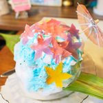 いちょうの木 - ハイビスカス 800円