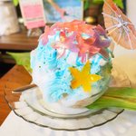 いちょうの木 - ハイビスカス 800円