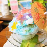 いちょうの木 - ハイビスカス 800円