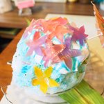 いちょうの木 - ハイビスカス 800円