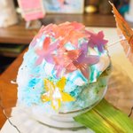 いちょうの木 - ハイビスカス 800円