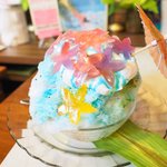 いちょうの木 - ハイビスカス 800円