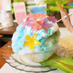 いちょうの木 - ハイビスカス 800円