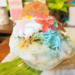 いちょうの木 - ハイビスカス 800円