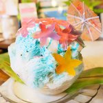 いちょうの木 - ハイビスカス 800円