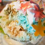 いちょうの木 - ハイビスカス 800円 の断面