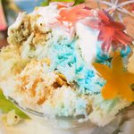 いちょうの木 - ハイビスカス 800円 の断面