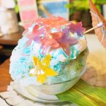 いちょうの木 - ハイビスカス 800円