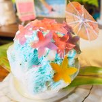 いちょうの木 - ハイビスカス 800円