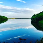 山屋蒼月 - 庭園。