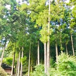 山屋蒼月 - 庭園。