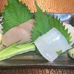 鶴寿司 - お刺身（ひらす、いか、ヒラメ）