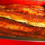 うなぎ亭 友栄 - うなぎ