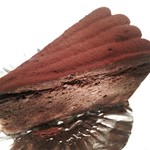 ツッカベッカライ カヤヌマ - カイザーショコラ