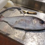 炭火焼 みや澤 - うろこ取り中、