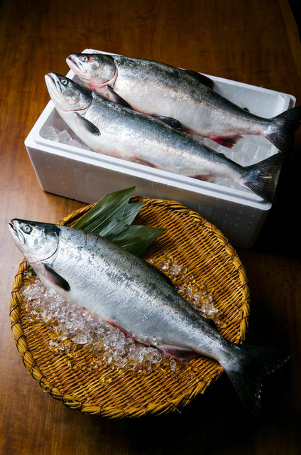 料理的照片 Kaisendokorokitanoajioosuke 食べログ 繁體中文