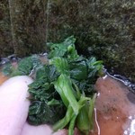 ラーメン 杉田家 - ほうれん草