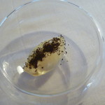 Restaurant Satoshi.F - 2013年2月