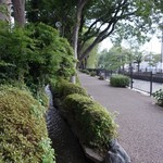 龢 - （2017/7月）広瀬川沿い