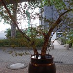 龢 - （2017/7月）カウンター席からの眺め