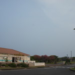 ザ ビーチ バーガー ハウス - 