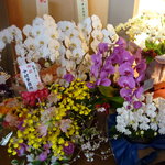 h Sasaki - 玄関には、たくさんの花。