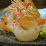 味楽 ゆめり - ぼたん海老　刺し 能登