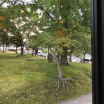 吉野本葛 天極堂 - 2階席からの眺め