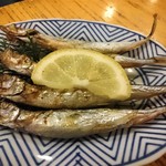 多可能 - ししゃも