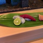 Sushi Tatsu - マグロ・イカ