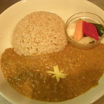 VEGAN Healing Cafe - ダルｶﾚｰ　￥900