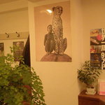 VEGAN Healing Cafe - 