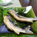 かたつむり - イワナと山女の食べ比べ