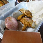 かたつむり - アカヤマドリ茸