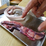 かたつむり - こちらは抱卵していて・・・