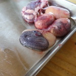 かたつむり - 既に小さなマムシが卵膜の中でウニョウニョ動いていました