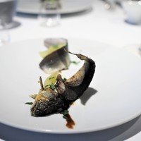 レフェルヴェソンス - 夏〜　鮎をうるかの香りで、枝豆、米酢、芋茎