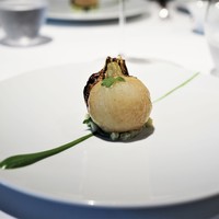 レフェルヴェソンス - 定点〜　蕪とパセリ、キントアハム、ブリオッシュ
